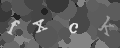Please type the characters of this captcha image in the input box