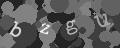Please type the characters of this captcha image in the input box