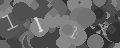 Please type the characters of this captcha image in the input box