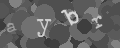 Please type the characters of this captcha image in the input box