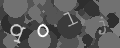 Please type the characters of this captcha image in the input box