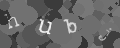 Please type the characters of this captcha image in the input box