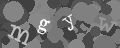 Please type the characters of this captcha image in the input box