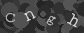 Please type the characters of this captcha image in the input box