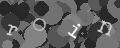 Please type the characters of this captcha image in the input box