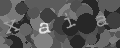 Please type the characters of this captcha image in the input box