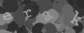 Please type the characters of this captcha image in the input box