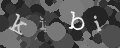 Please type the characters of this captcha image in the input box