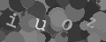 Please type the characters of this captcha image in the input box