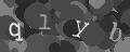 Please type the characters of this captcha image in the input box
