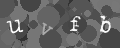 Please type the characters of this captcha image in the input box