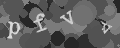 Please type the characters of this captcha image in the input box