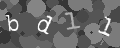 Please type the characters of this captcha image in the input box