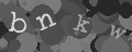 Please type the characters of this captcha image in the input box